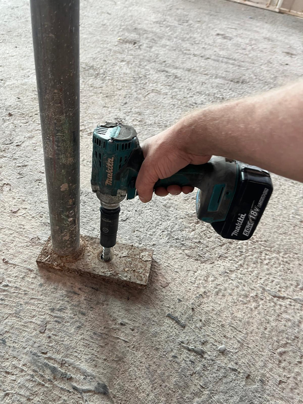 BULLDOG 19mm Magnetic Scaffold Socket
